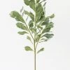 Afloral Faux Pittosporum Leaf Branch - 30.5" Artificial Plants