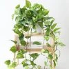 Afloral Artificial Plants Natural Touch Pothos Artificial Plant - 48"
