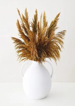 Afloral Dried Flowers Gold Dried Plume Reed Grass - 36-40