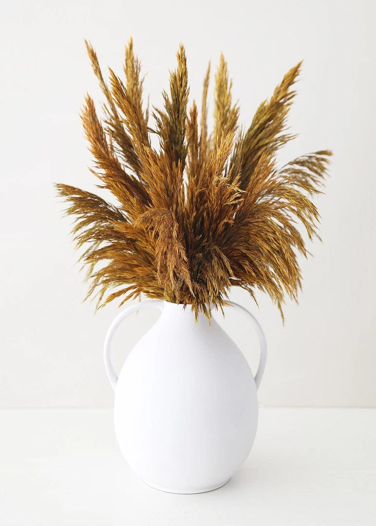 Afloral Dried Flowers Gold Dried Plume Reed Grass - 36-40"