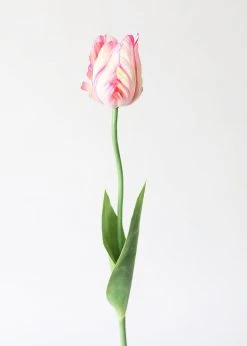 Afloral Tie Dye Pink Artificial Parrot Tulip - 25"