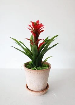 Afloral Indoor/Outdoor Tropical Bromeliad Plant - 14" Artificial Flowers