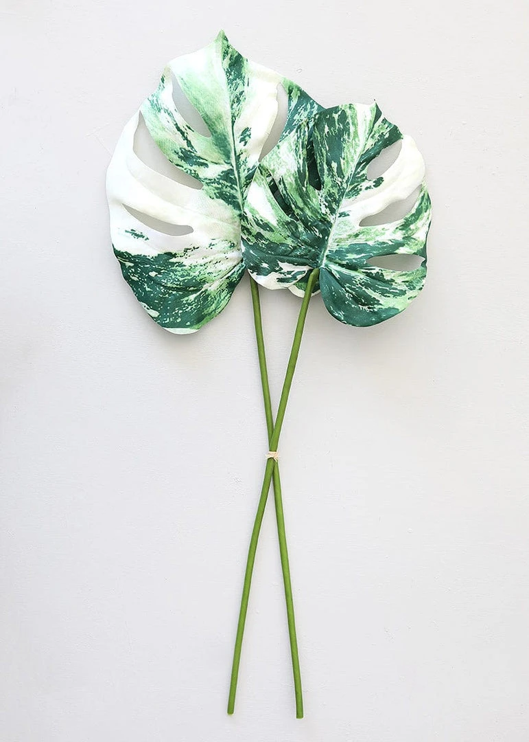 Afloral Artificial Plants Artificial Variegated Monstera Leaves - 2 Stem Bundle- 27-29"