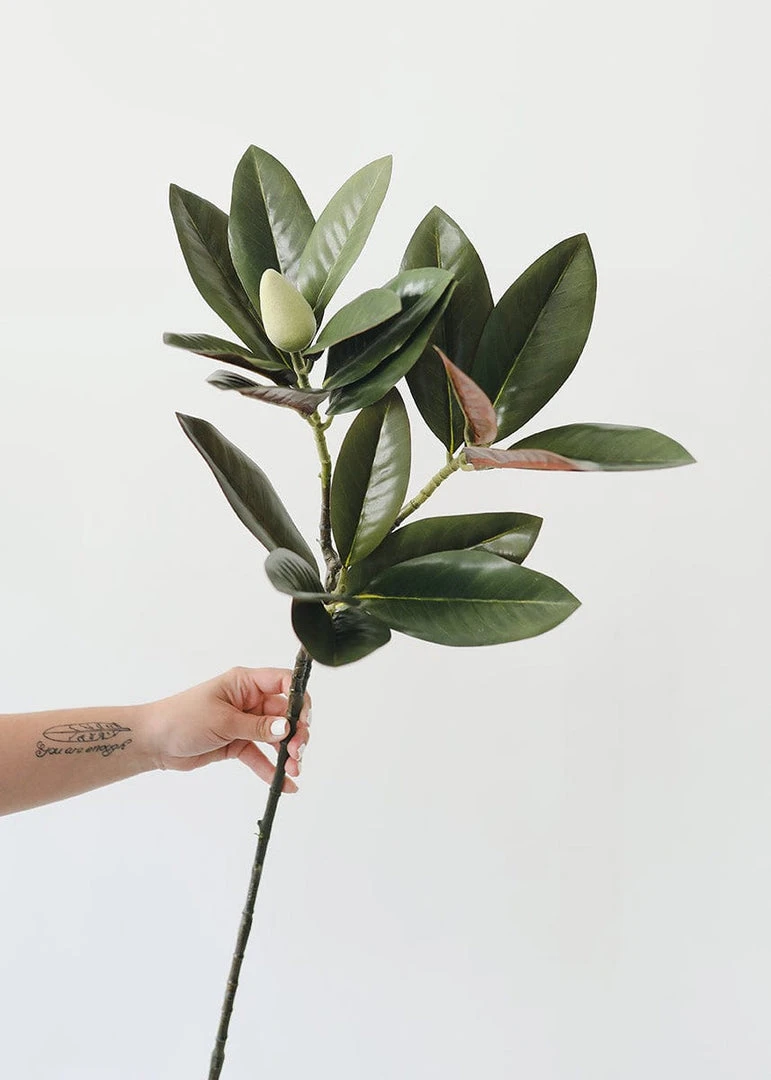Afloral Artificial Magnolia Leaf - 34.5"