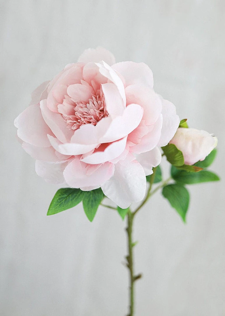 Afloral Artificial Flowers Silk Peony In Light Pink - 24"