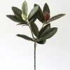 Afloral Artificial Magnolia Leaf - 34.5"