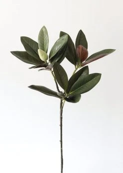 Afloral Artificial Magnolia Leaf - 34.5"
