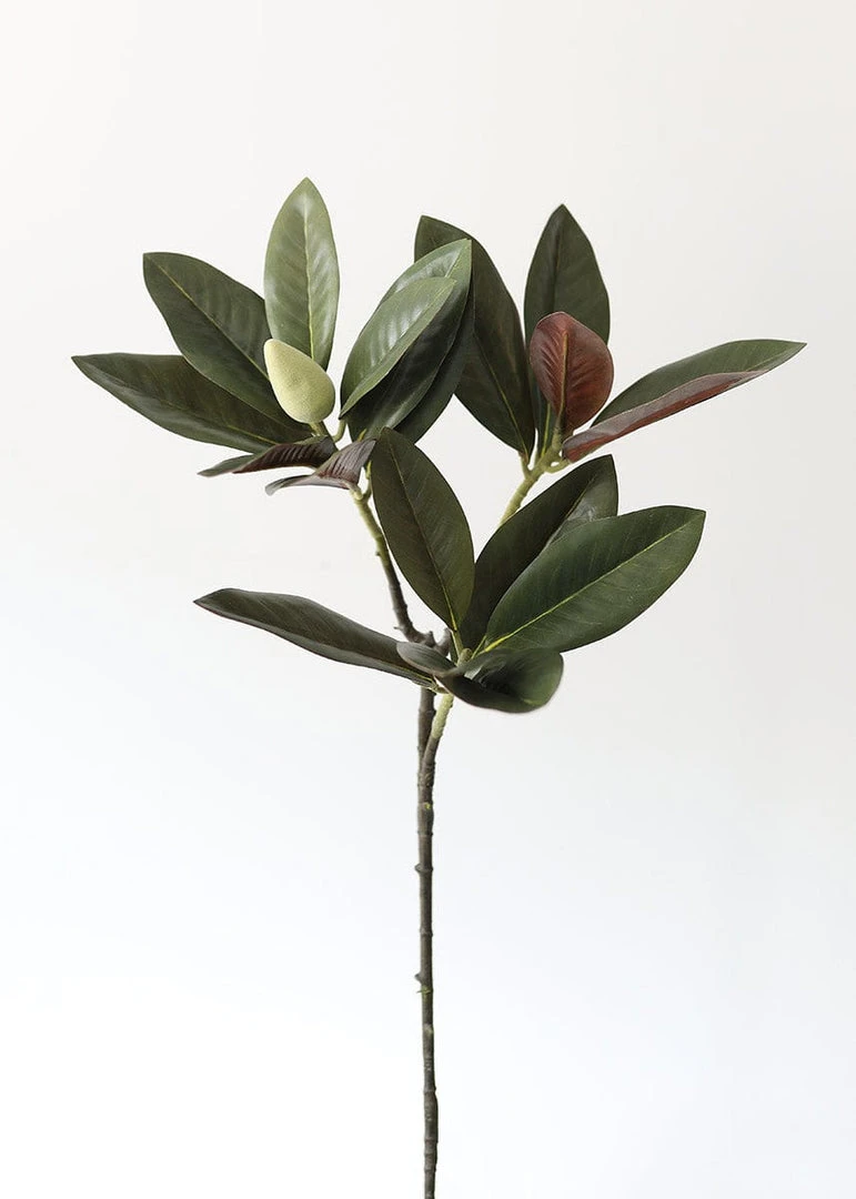 Afloral Artificial Magnolia Leaf - 34.5"