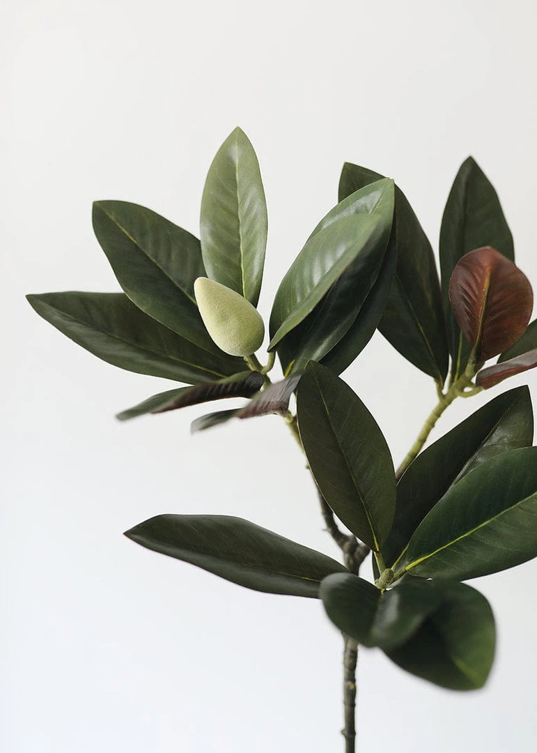 Afloral Artificial Magnolia Leaf - 34.5"