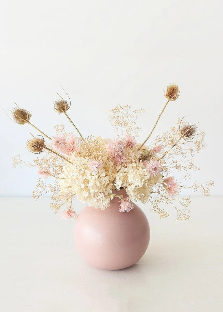 Afloral Bundle Of 10 Dried Chardon Thistles - 18-24"