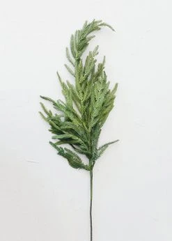 Afloral Real Touch Norfolk Pine Branch - 36