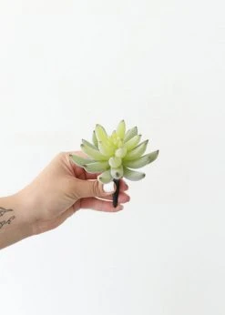 Afloral Artificial Plants Artificial Flocked Succulents Agave Cactus - 4