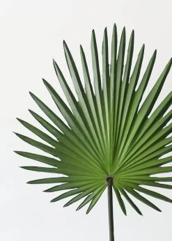 Afloral Artificial Fan Palm Leaf - 30