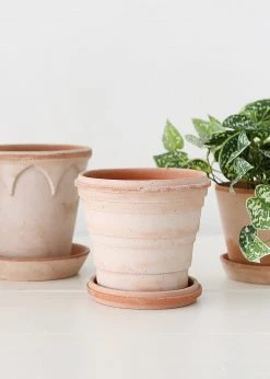 Afloral.com Bergs Pink Terra Cotta Pot With Drainage - 6