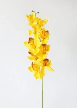 Afloral Silk Cymbidium Orchid In Golden Yellow - 30" Artificial Flowers