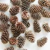 Afloral Dried Flowers Box Of 100 Natural Pine Cones - 3-5"