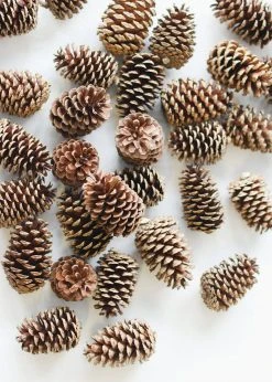 Afloral Dried Flowers Box Of 100 Natural Pine Cones - 3-5"