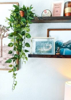 Afloral Artificial Plants Hanging Philodendron Bush - 49.5"