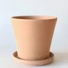 Afloral Large Terra Cotta Pot With Drainage - 9.5"