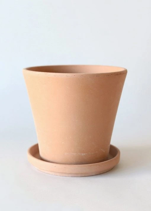 Afloral Large Terra Cotta Pot With Drainage - 9.5"