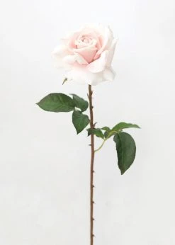 Afloral Real Touch Dutchess Rose In Pale Pink - 20"