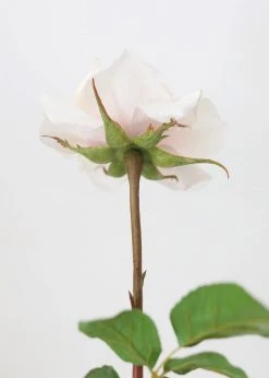 Afloral Real Touch Dutchess Rose In Pale Pink - 20