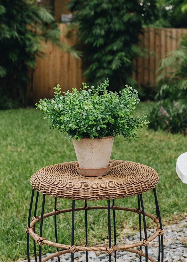 Afloral.com Bergs Julie Clay Pot With Drainage - 5"
