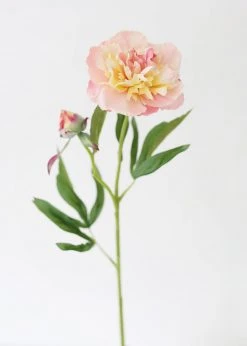 Afloral Soft Apricot Pink Peony Fake Flower - 22"