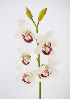Afloral Cream Burgundy Faux Cymbidium Orchid - 31
