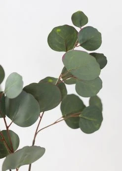 Afloral Artificial Plants Real Touch Silver Dollar Eucalyptus - 30