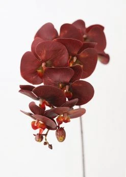Afloral Artificial Flowers Burgundy Red Fake Phalaenopsis Orchids - 30"