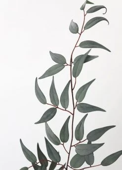 Afloral Artificial Plants Artificial Italian Ruscus Leaf Branch - 36"