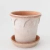 Afloral Bergs Elizabeth Terracotta Pot With Drainage - 6.5" Vases