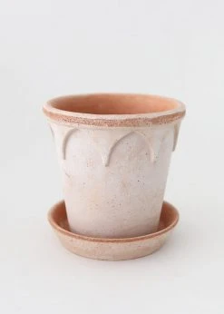 Afloral Bergs Elizabeth Terracotta Pot With Drainage - 6.5" Vases