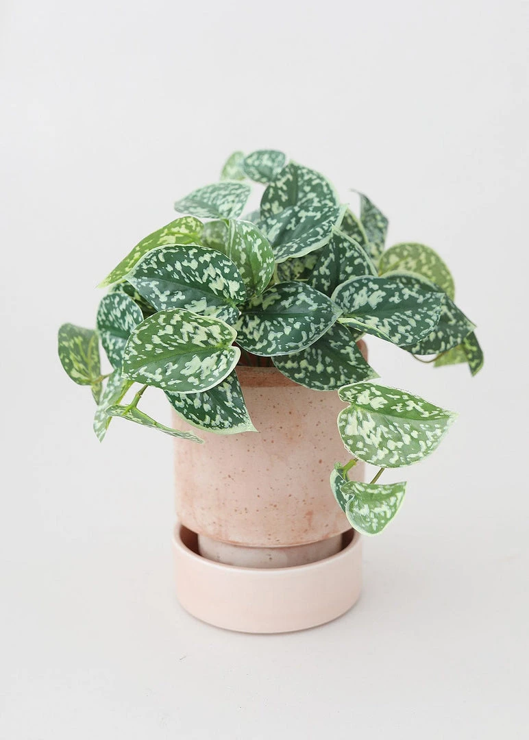 Afloral Vases Bergs Hoff Clay Pot With Drainage - 6.75"