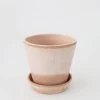Afloral.com Bergs Julie Clay Pot With Drainage - 5"