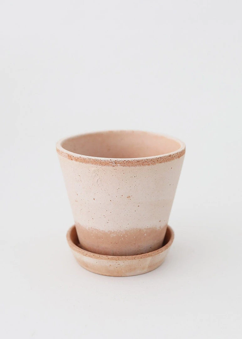 Afloral.com Bergs Julie Clay Pot With Drainage - 5"