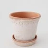 Afloral.com Bergs Pink Washed Clay Pot With Drainage - 6" Vases