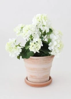 Afloral.com Bergs Pink Terra Cotta Pot With Drainage - 6