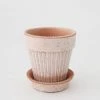 Afloral.com Vases Bergs Simona Scalloped Pot With Drainage - 6"