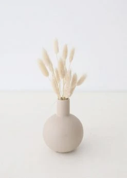 Afloral Natural Dried Bunny Tail - 18-28