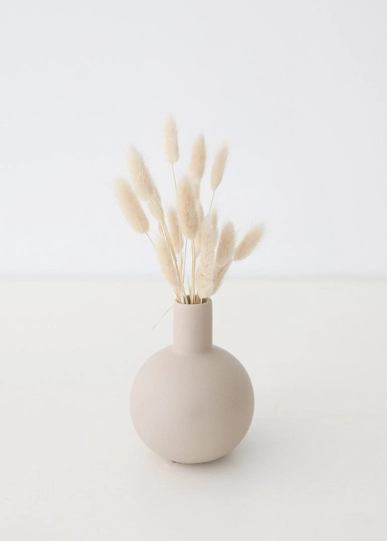 Afloral Natural Dried Bunny Tail - 18-28" Dried Flowers