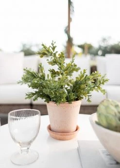 Afloral.com Bergs Handmade Clay Pot With Drainage - 6.5