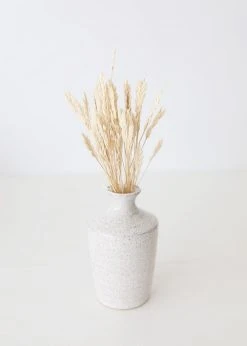 Afloral Dried Flowers Dried Petite Arrow Grass - 12