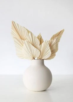 Afloral Dried Flowers Bundle Of 10 Bleached Dried Palm Spears - 14-20