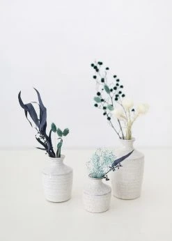 Afloral Dried Flowers Petite Dried Flower Bundle In Blue - 8-16