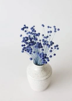 Afloral Petite Blue Dried Floral Buttons - 9-14"