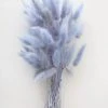 Afloral Light Blue Dried Bunny Tails - 18-28" Dried Flowers