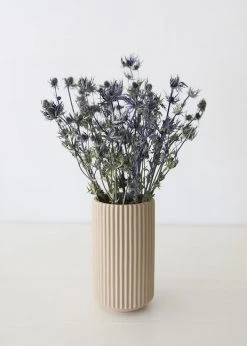 Afloral Dried Flowers Dried Eryngium Sea Holly Flowers - 15-22