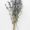 Afloral Dried Flowers Dried Eryngium Sea Holly Flowers - 15-22"